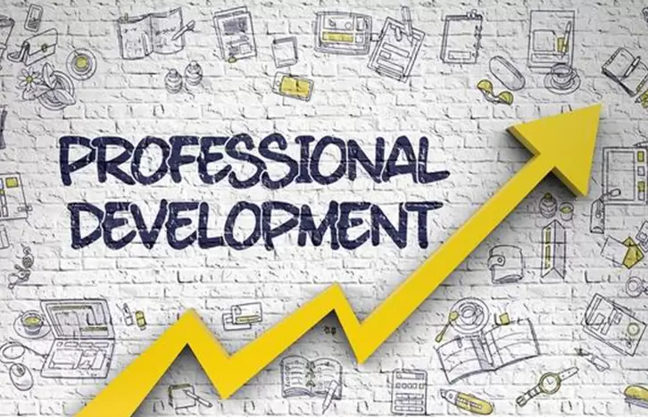 Desarrollo profesional, diversidad, <span>equidad e inclusión en la</span>